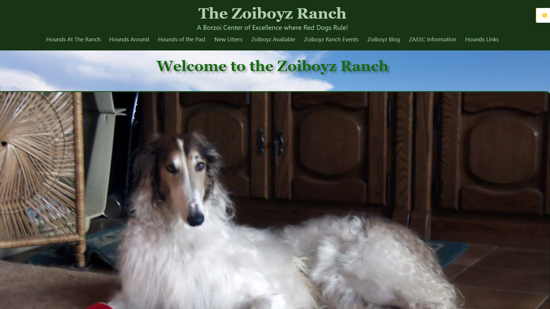 Zoi Boyz website